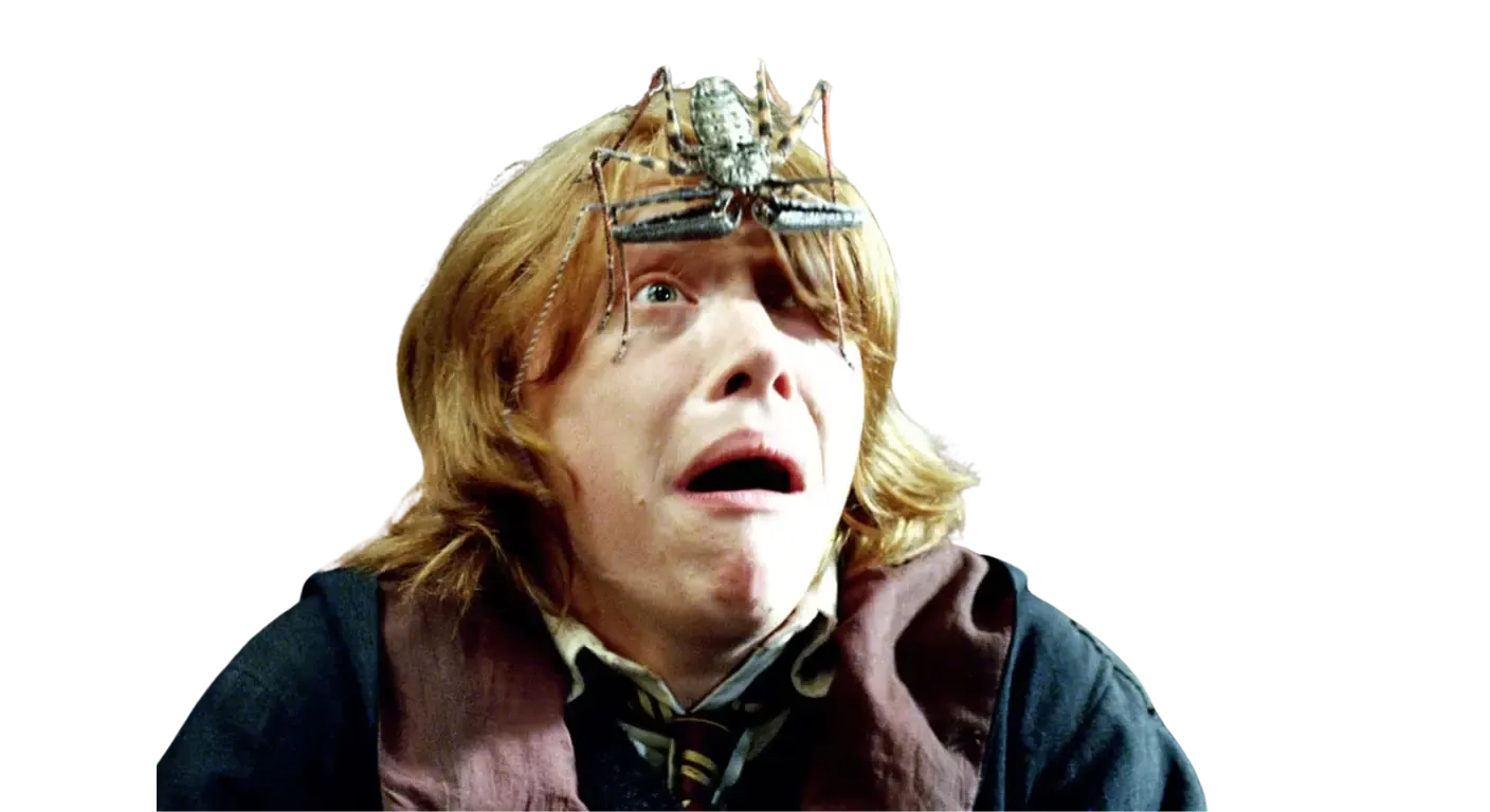 Criatura de ocho patas, la fobia más grande de Ron Weasley.