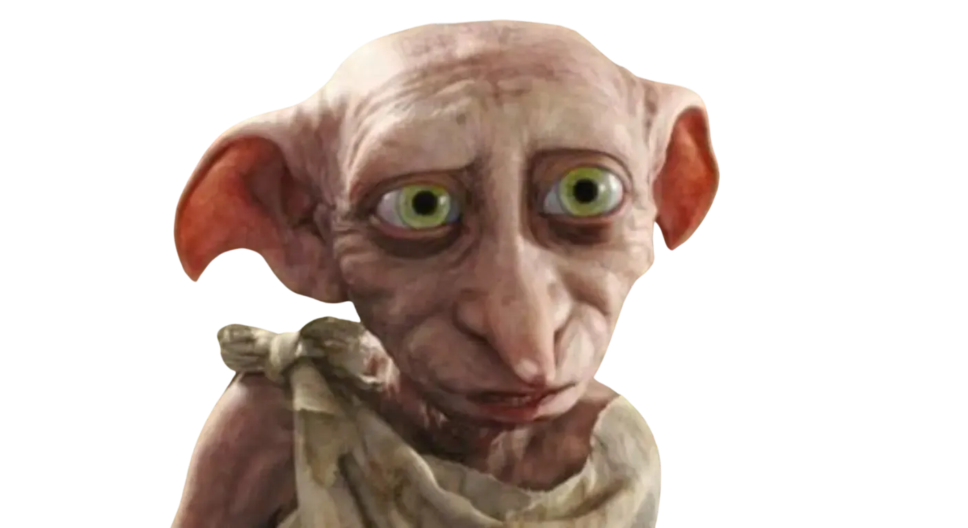 Criatura doméstica y servicial en el mundo mágico. 