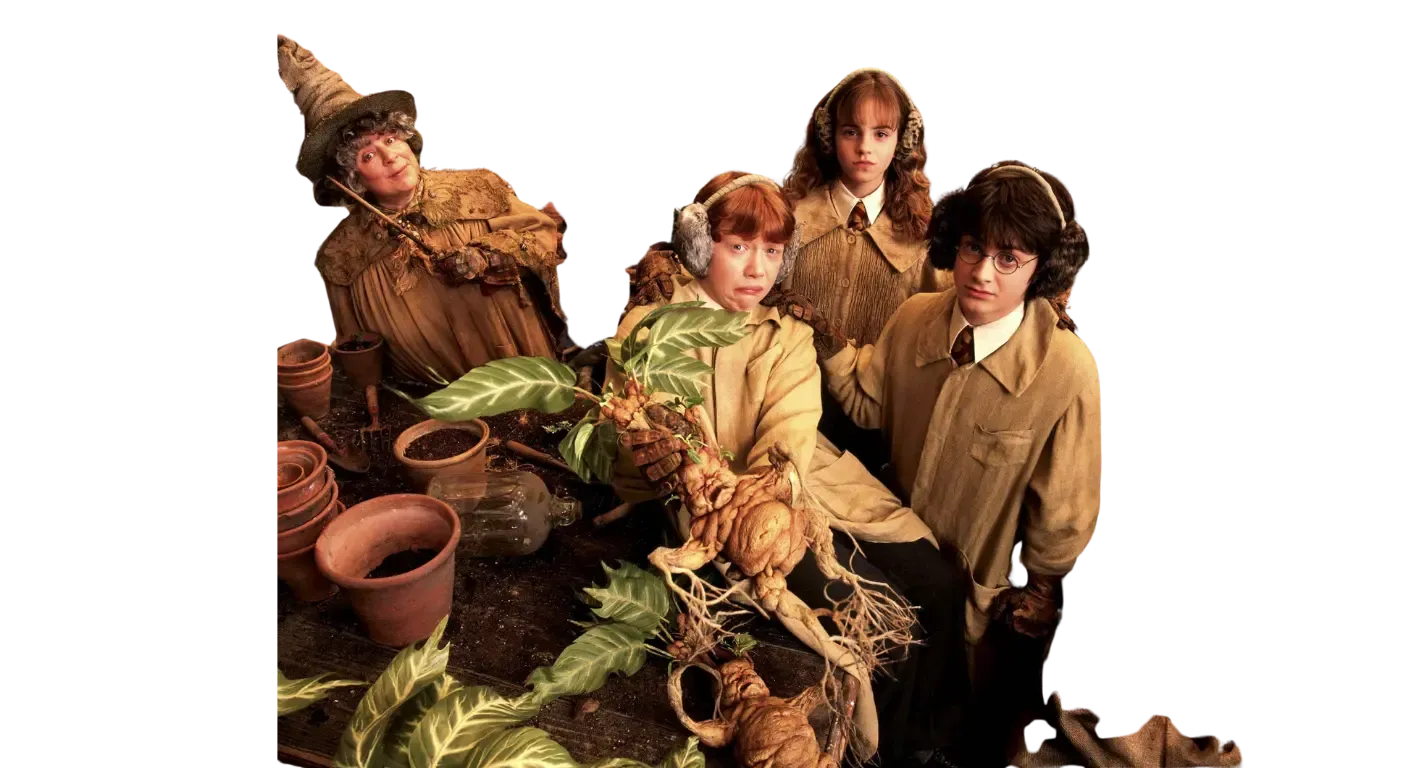 Planta curativa cuyo llanto puede matar a quien lo escuche.