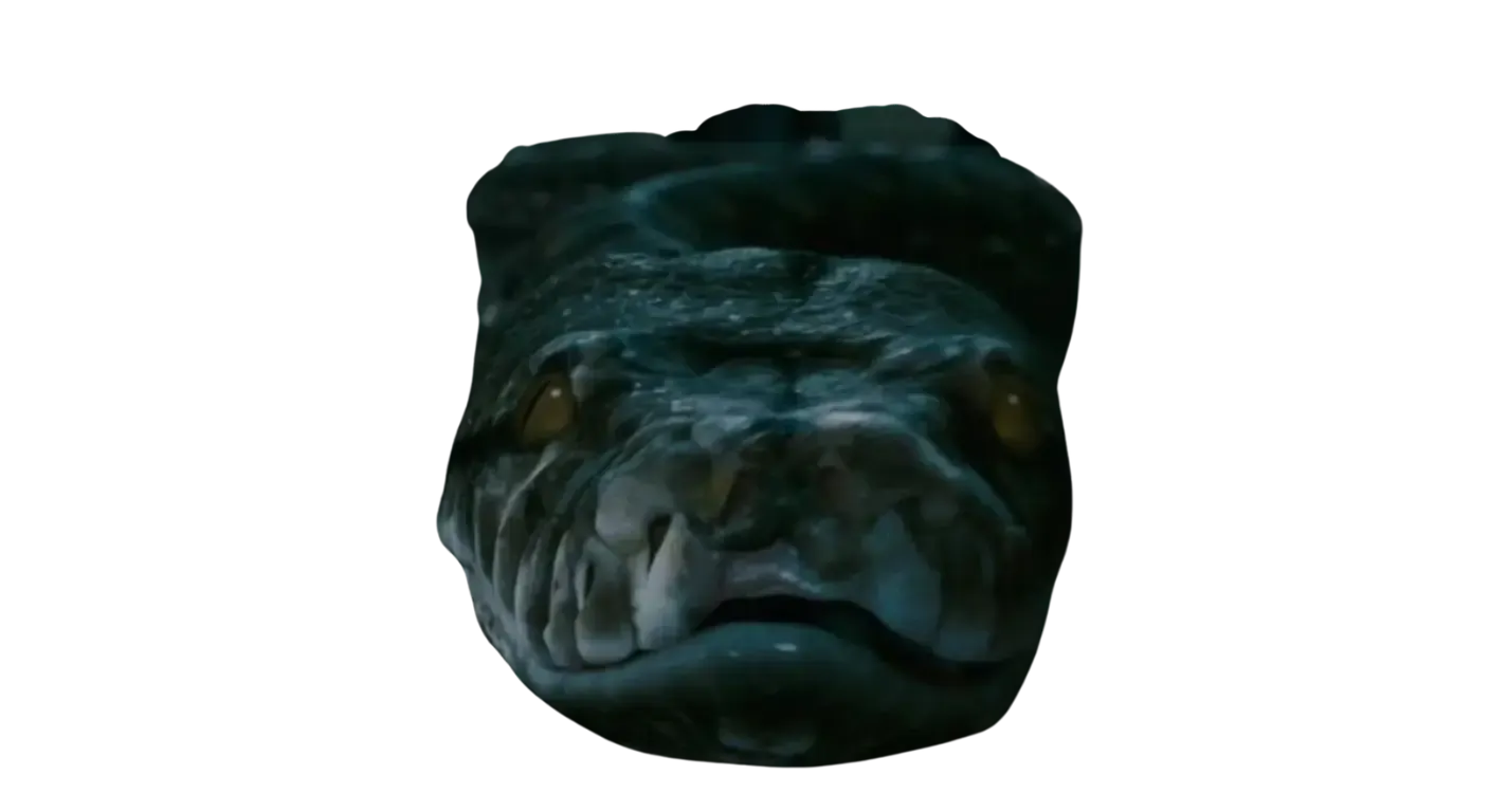 Nombre de la serpiente y Horrocrux de Lord Voldemort.